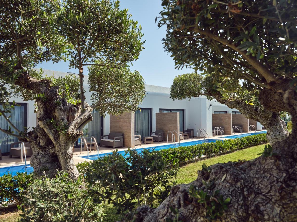 Cavo Orient Beach Hotel & Suites Drosia  Exterior foto