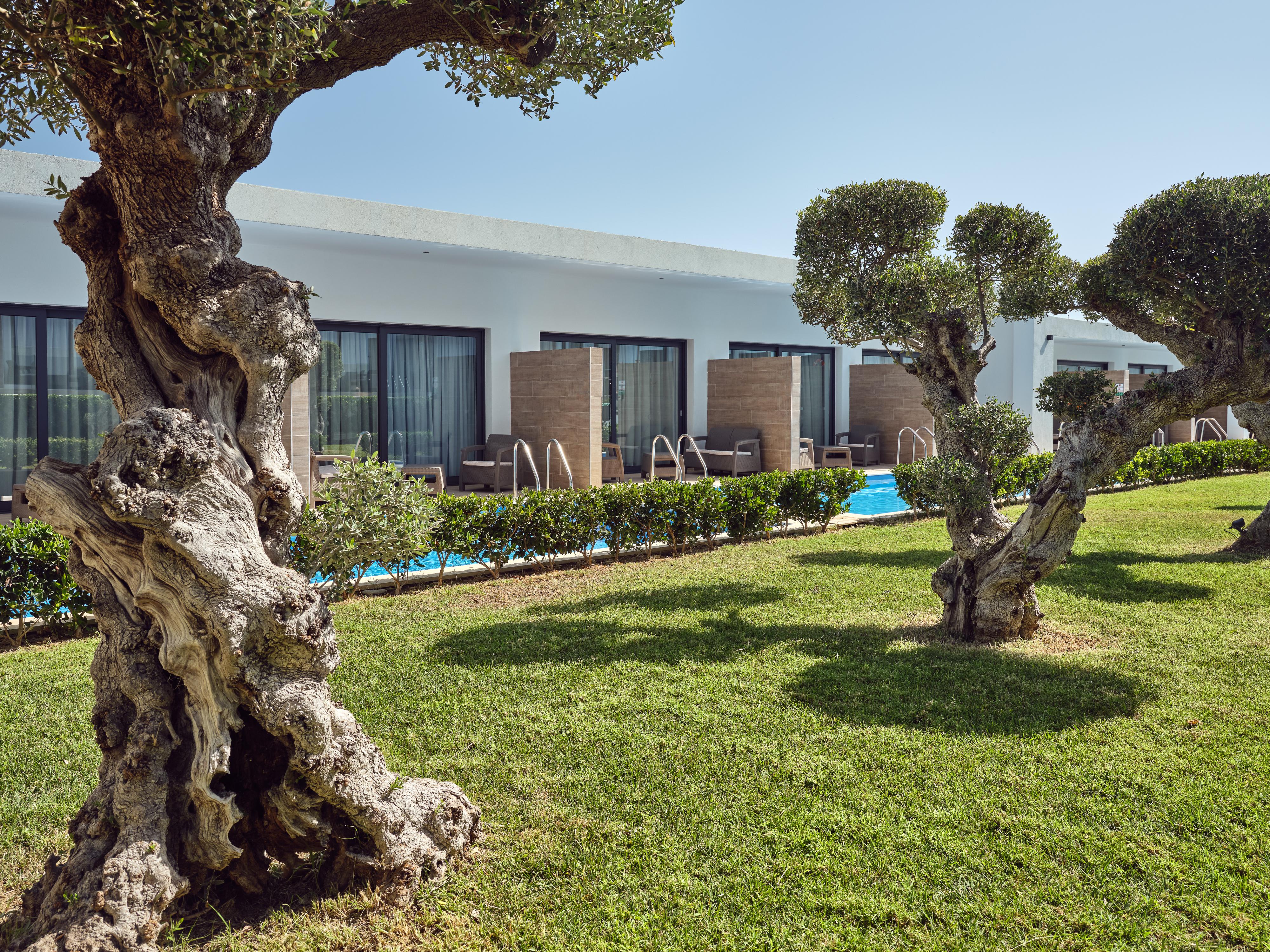 Cavo Orient Beach Hotel & Suites Drosia  Exterior foto